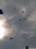 Cervia 2011-124